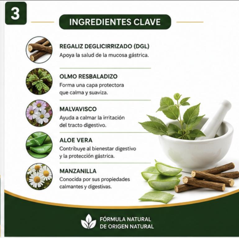 Gastritis y Úlceras – 60 Tabletas - Imagen 4