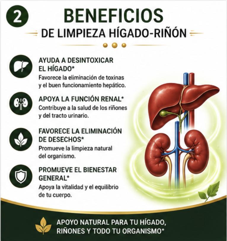 Limpieza Hígado y Riñón – 60 Tabletas - Imagen 4